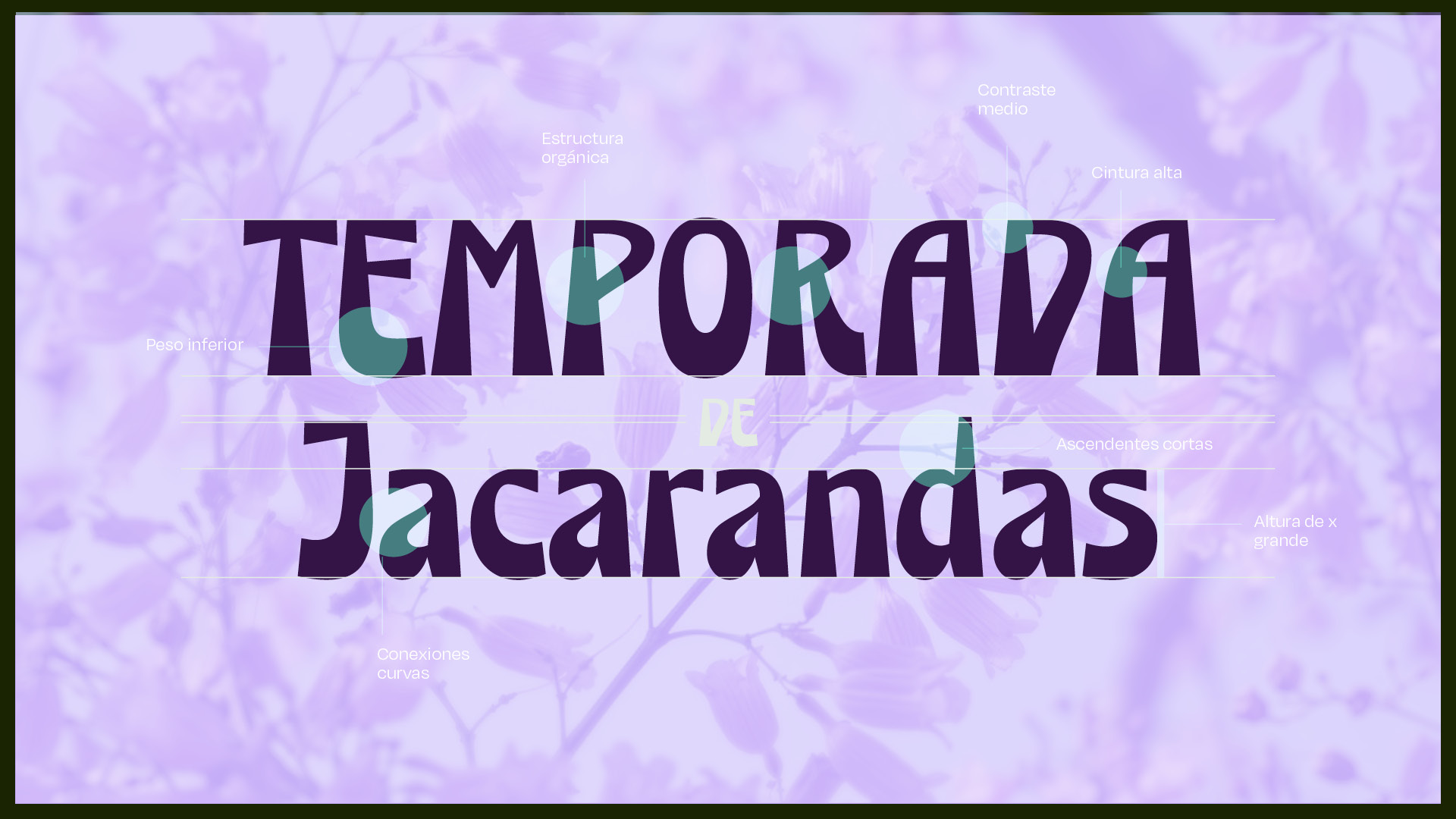 Monarca — aplicación en El Comalito